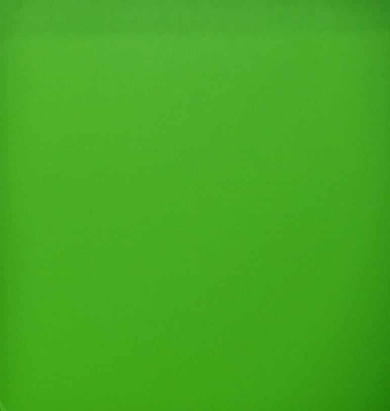 La pared verde