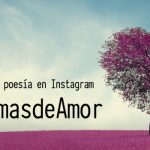 Concurso de poesía en Instagram #PoemasdeAmor: 10 finalistas