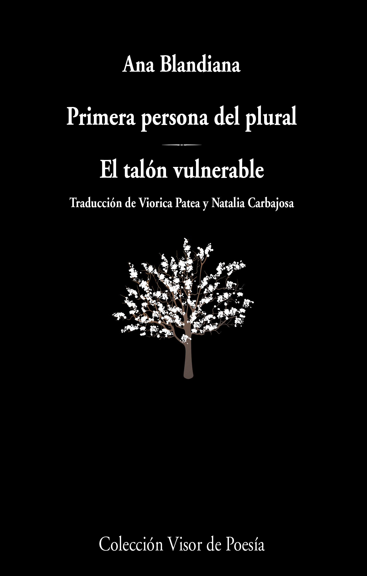 Seis poemas de ‘Primera persona del plural / El talón vulnerable’, de Ana Blandiana
