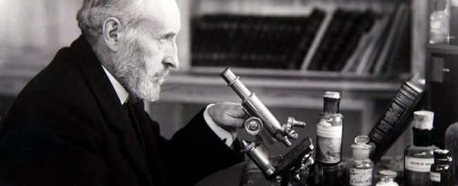 El ojo y la retina, Cajal y Darwin
