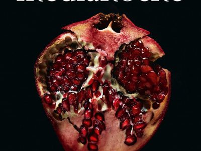 “Sol de medianoche”, la nueva novela de la saga “Crepúsculo”