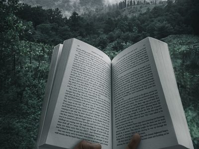 La semana en Zenda, en 10 tuits